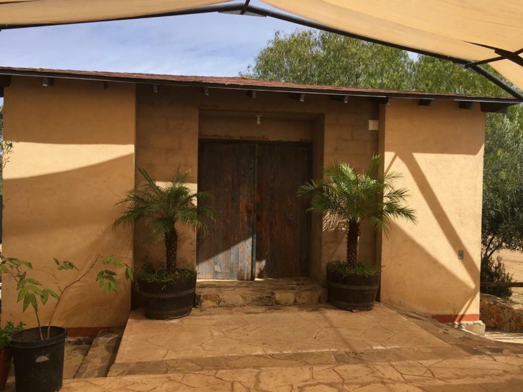 Guest House Nativo - Charming, Cozy & Affordable Valle de Guadalupe Ngoại thất bức ảnh
