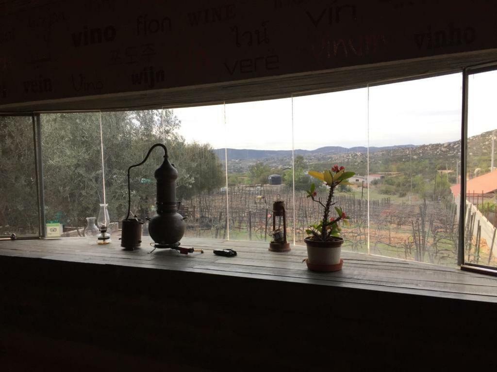 Guest House Nativo - Charming, Cozy & Affordable Valle de Guadalupe Ngoại thất bức ảnh