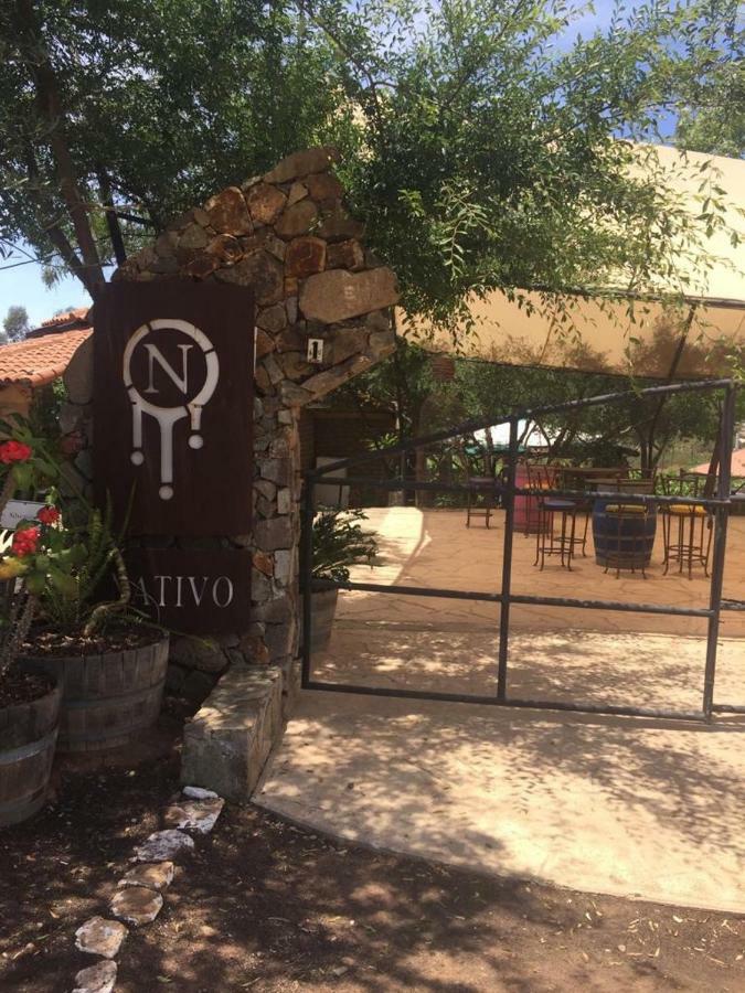 Guest House Nativo - Charming, Cozy & Affordable Valle de Guadalupe Ngoại thất bức ảnh
